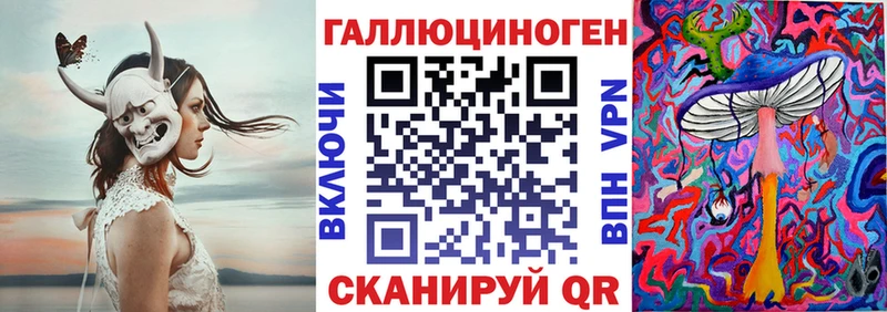 Купить закладки  Нязепетровск  Псилоцибиновые грибы Psilocybe 